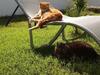 Bed & Breakfast Chambre Et Salle de Bain Priv�e Saint Aunes