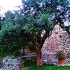 Bed & Breakfast Antica Corte Panego