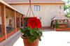 Hostal Euro Panzio