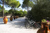 Agroturismo Palombara Farm-b&b
