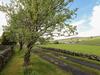 New Elm Tree Farm