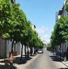 Apartamento Caprichos de La Mezquita
