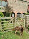 Beautiful Barn In The Tranquil Countryside