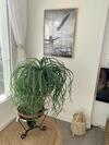 Modern Sunset Ocean View Apartment Incl. Parking