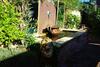 Bed & Breakfast At Eleven - La Petite Maison