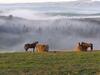 Agroturismo Fattoria Pieve A Salti
