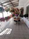 Hostal Iota Cu Fema Ca La Mama Acasa S.r.l