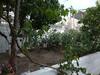 Apartamento Anastasia' S Guest House
