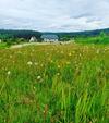 Domek Polna Cisza Bieszczady