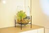 Apartamento Studio-apartment Kontaktloser Check-in