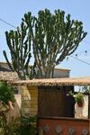 Agroturismo The Place