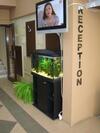 Hostal Guest House Lazur