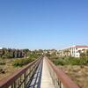 Ocean Village Club C17