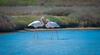 Apartamento El Rinc�n De Elena Delta Del Ebro