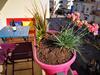 Apartamento Lovely Appart