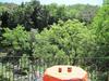 Villa With Natural River Pool, 15 Mins From Beach