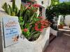 Hostal Stella Marina Albergo Diffuso - B&B