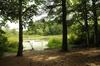 Gateway To Cape Cod Vacation Cottage 1