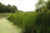 Gateway To Cape Cod Vacation Cottage 1
