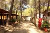 Camping Village Riva Dei Greci