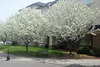 Hotel Days Inn Ottawa Airport