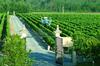 Hostal Ch�teau Du Tertre