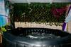 Casa Flores Sleeps 6 Hot Tub Private Terrace