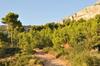 Bed & Breakfast La Ferme