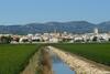 Apartamento Merc�, Delta Del Ebro, Entero