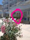 Sunny Dream Apartments Sunny Beach Bulgarien Sonnenstrand
