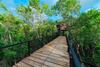 Villa Incre�ble Casa Elevada Con Cenote Privado En Tulum
