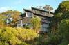 The Blue Penguin - Kuaotunu Holiday Home