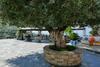 Bed & Breakfast Vila Panorama Piqeras