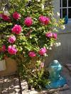 Bed & Breakfast Le Mas Des Anges