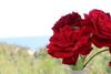 Apartamento Fantasy Grand Villa Thassos