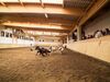 Reit-und Sporthotel Nordmann