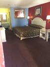 Motel Relax Inn - Albany