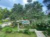 Hotel Green Eco Villa And Reserve