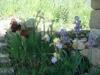 Bed & Breakfast Ch�teau Serigues