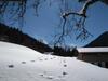 Authentic Apartment In St Gallenkirch With Sauna