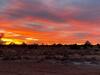 Star Garden Az