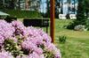 Domki Na Mazurach - Summer House Czerwonki