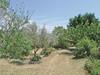 Holiday Home St. Nazaire Cd-1296
