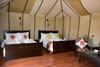 Relaxing Desert Camp - Luxury & Royal