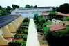 Hotel Milu Beach Club