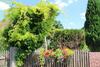 Bed & Breakfast La T�te Dans Les Etoiles