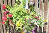 Bed & Breakfast La T�te Dans Les Etoiles