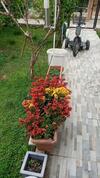 Antalya Ful Donan?ml? Villa (Klima, Kaloriferli)