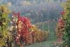 Bed & Breakfast La Terrazza Sul Monferrato
