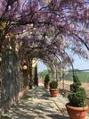 Bed & Breakfast La Corte Delle 4 Stagioni